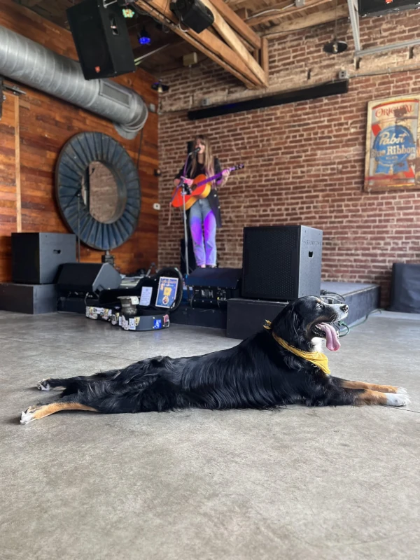 God laying on the floor while woman plays on stage in the background